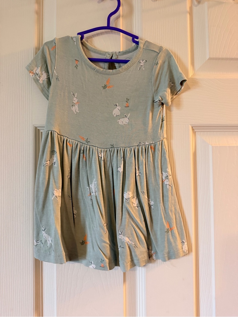 Carter's Sage Green Bunny & Carrot Print Dress